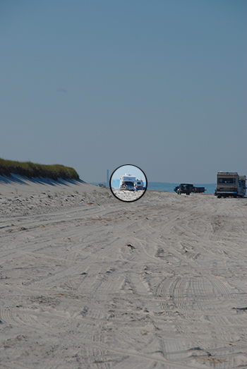 Sandy Neck