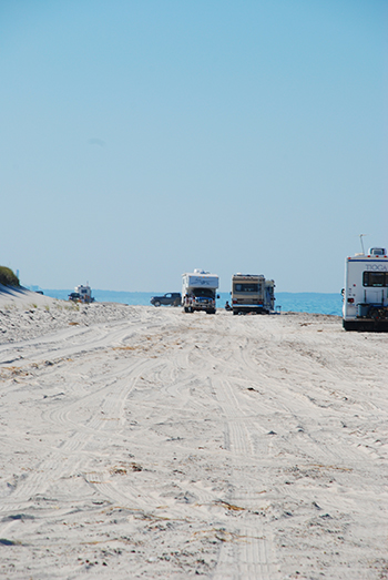 Sandy Neck