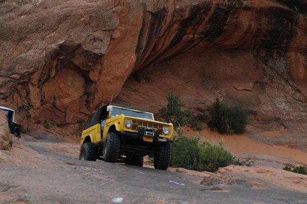The Bronco
